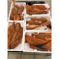 Capone Gallinella Capone Gallinella