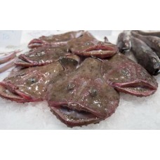 Coda di rospo Coda di rospo