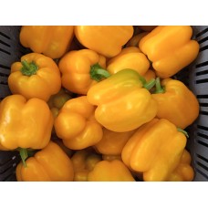 Peperone giallo (Capsicum annuum) Peperone giallo (Capsicum annuum)
