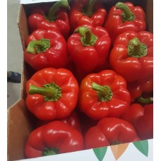 Peperone Rosso (Capsicum annuum) Peperone Rosso (Capsicum annuum)