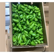 Peperoncino Verde (Capsicum annuum) Peperoncino Verde (Capsicum annuum)