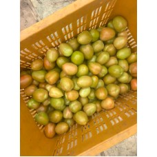 Pomodoro verde (Solanum lycopersicum) Pomodoro verde (Solanum lycopersicum)