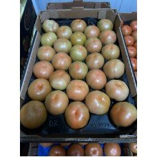 Pomodoro Rosa (Solanum lycopersicum) Pomodoro Rosa (Solanum lycopersicum)