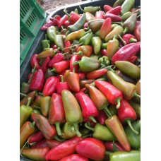 Peperoncini Peperoncini