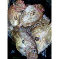 San Pietro San Pietro