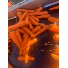 Carota Carota