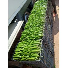 Peperoncini verdi Peperoncini verdi